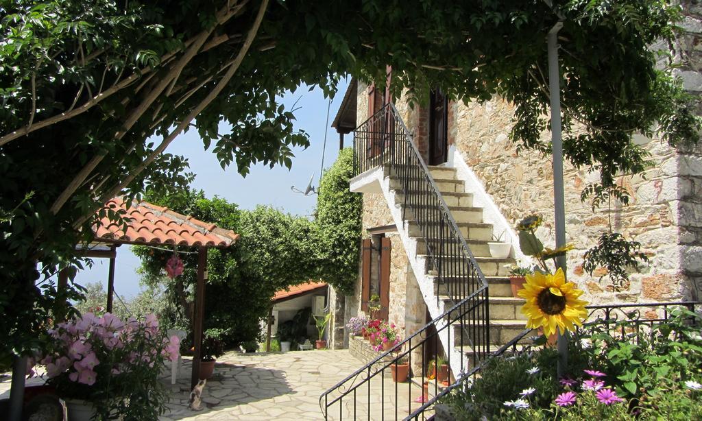 Tsorni Hill Cottage 莱福卡斯特龙 外观 照片
